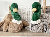 Two plush duck toys sitting on a surface with a neutral background